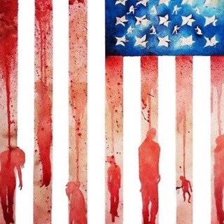 The Trump Gambit: Race and privilege in America